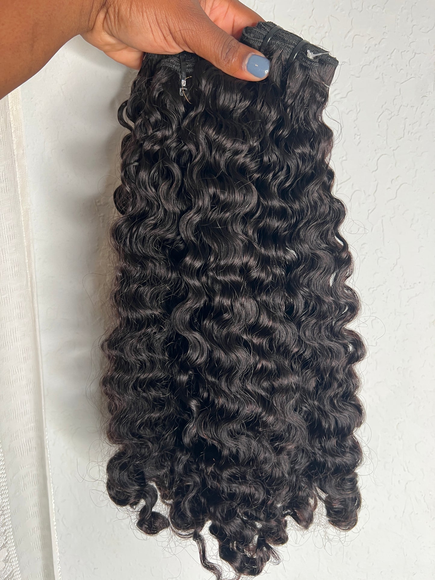 Burmese curly