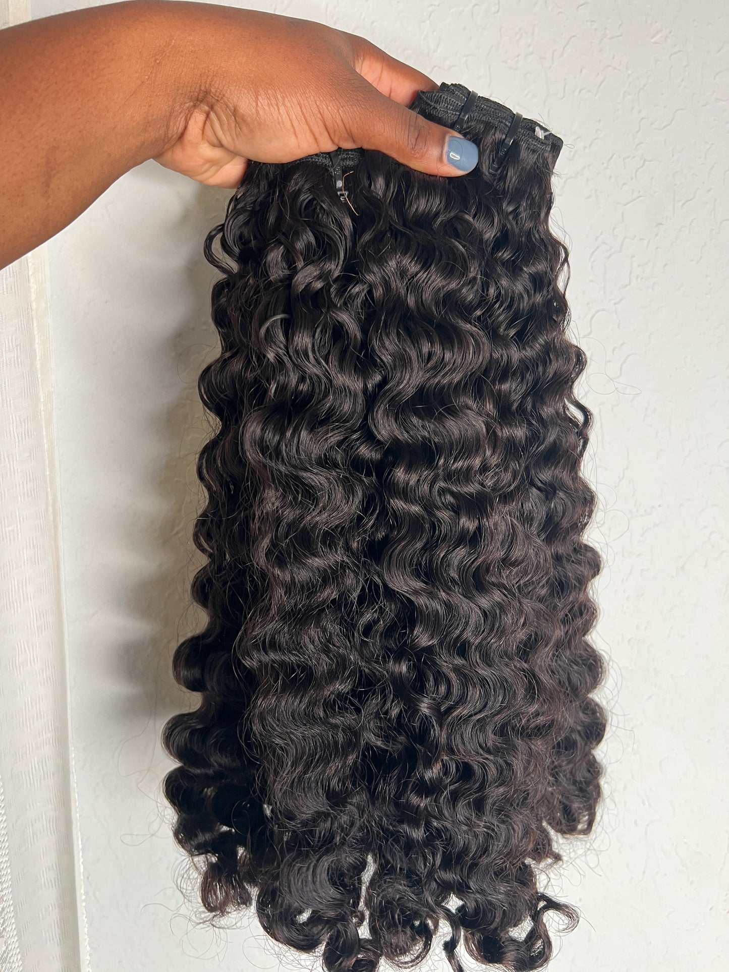 Burmese curly